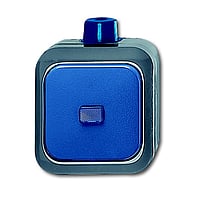 Busch-Jaeger Busch-duro 2000 WDI wipschakelaar wissel, blauw
