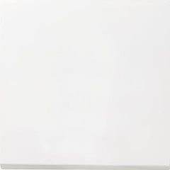 Gira F100 1-voudig kunststof inbouw drukvlakschakelaar wissel schakelaar, wit (RAL9010)