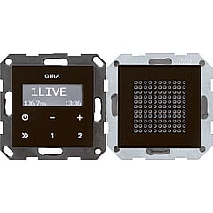 Gira System 55 inbouw glas basiselement t.b.v. radio, RDS met luidspreker, zwart