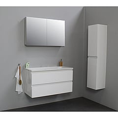 Sub Online badmeubelset met wastafel zonder kraangat met spiegelkast grijs (bxlxh) 100x46x55 cm, hoogglans wit / glans wit