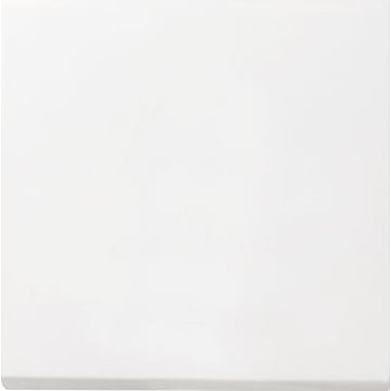 Gira F100 1-voudig kunststof inbouw drukvlakschakelaar wissel schakelaar, wit (RAL9010)