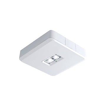 Van Lien Evago DLO-X vierkante plafondopbouw LED verlichting geschikt voor vluchtwegverlichting, decentraal batterij, 2W, 35 x 150 x 35 mm, wit