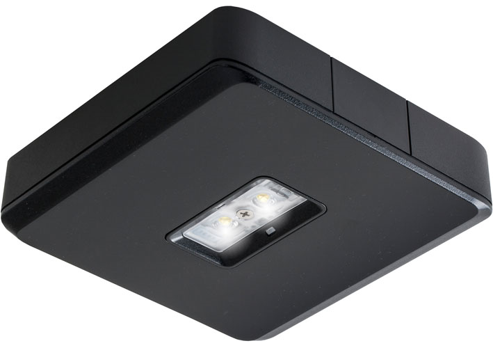 Van Lien Evago CWO vierkante plafondopbouw LED verlichting geschikt voor vluchtwegverlichting, centraal batterij, 2W, 35 x 150 x 35 mm, zwart
