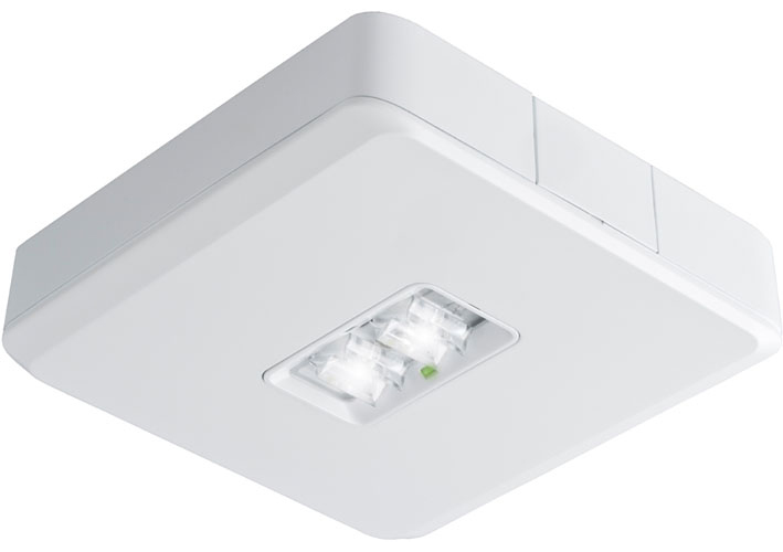 Van Lien Evago DLO/3 vierkante plafondopbouw LED verlichting geschikt voor vluchtwegverlichting, decentraal batterij, 3W, 35 x 150 x 150 mm, wit