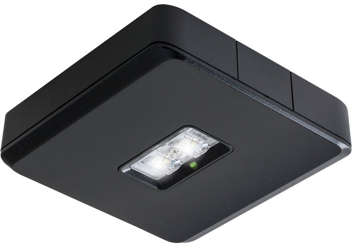 Van Lien Evago DLO-X/ZW plafondopbouw LED verlichting geschikt voor vluchtwegverlichting, decentraal batterij, 35 x 150 x 150 mm, zwart